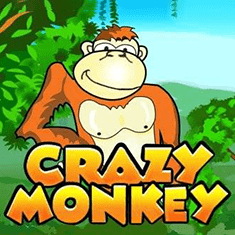 Crazy Monkey