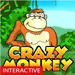 Crazy Monkey Interactive